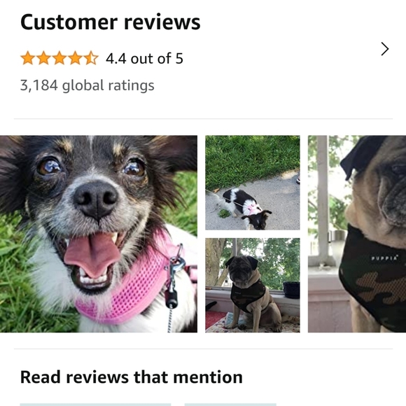 Puppia Cat Small Dog Harness AND Leash - Unused - Picture 7 of 8